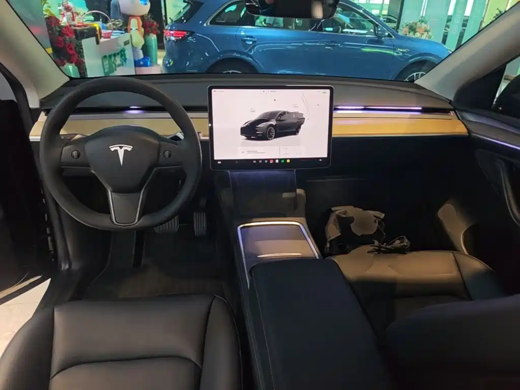 Tesla Model Y — миниатюра 10