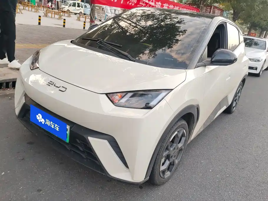 BYD Seagull