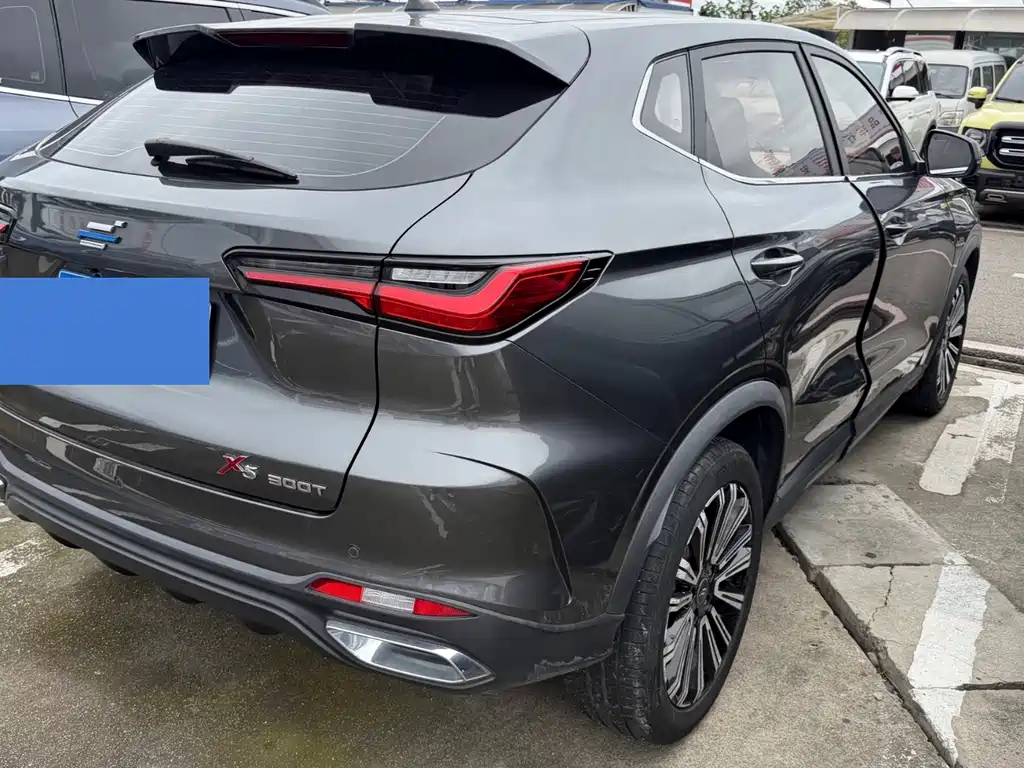 Oshan Oushang X5 — миниатюра 14