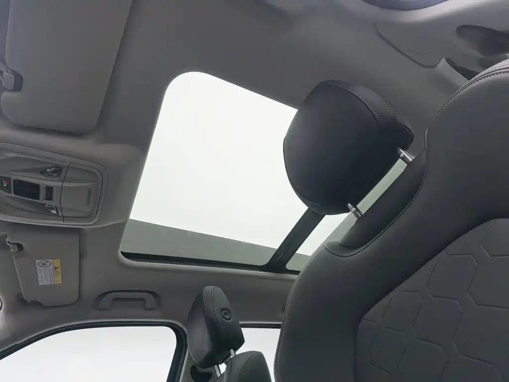 Haval Big Dog — миниатюра 14