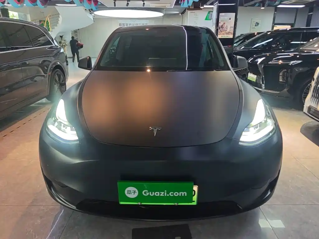 Tesla Model Y — миниатюра 3