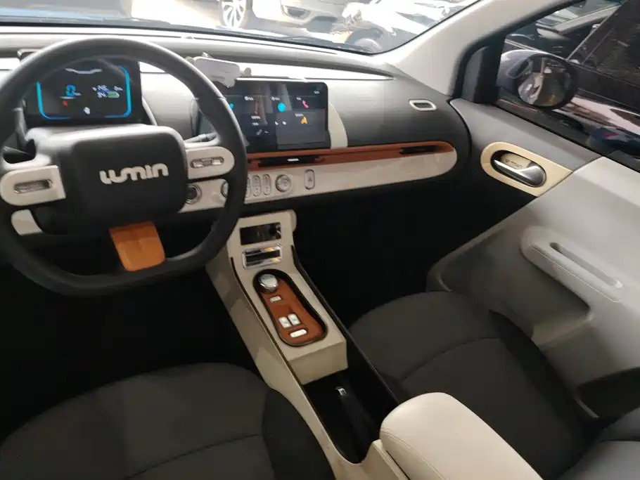 Qiyuan Lumin — миниатюра 12