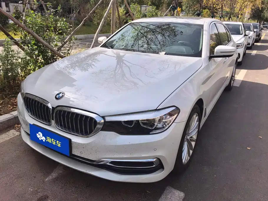BMW 5 Series 5 2019 530Li xDrive Luxury
