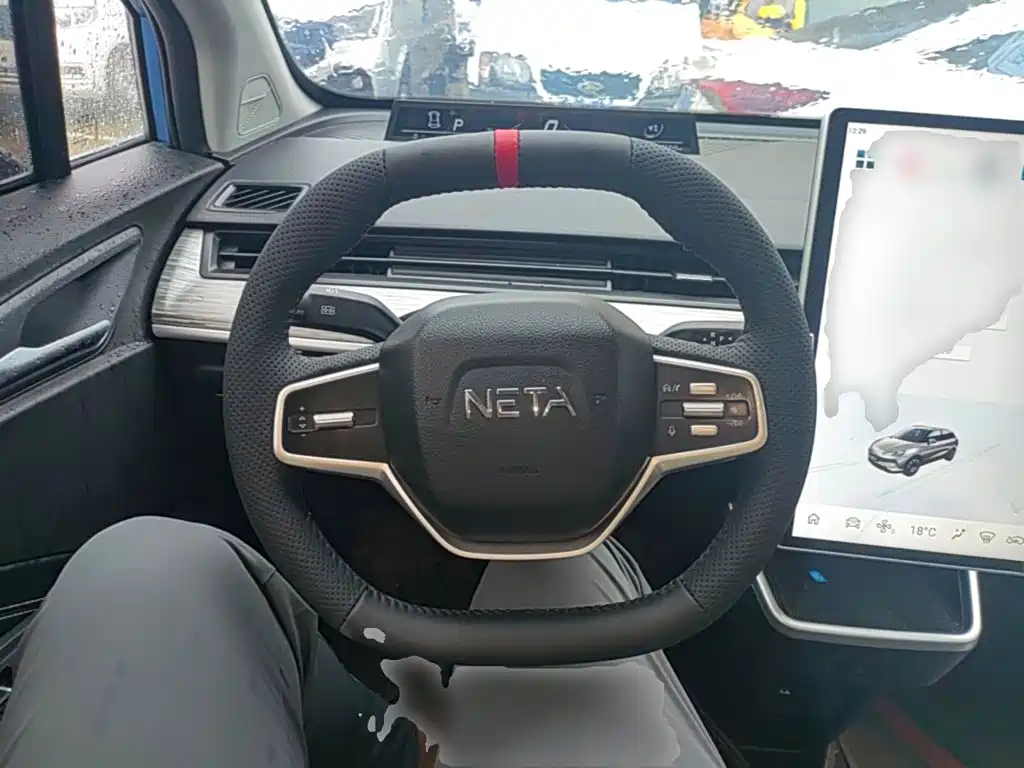Neta Neta V — миниатюра 11
