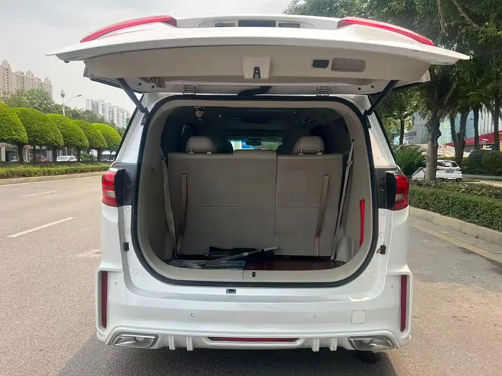 Buick GL8 2018 ES 28T Luxury VI