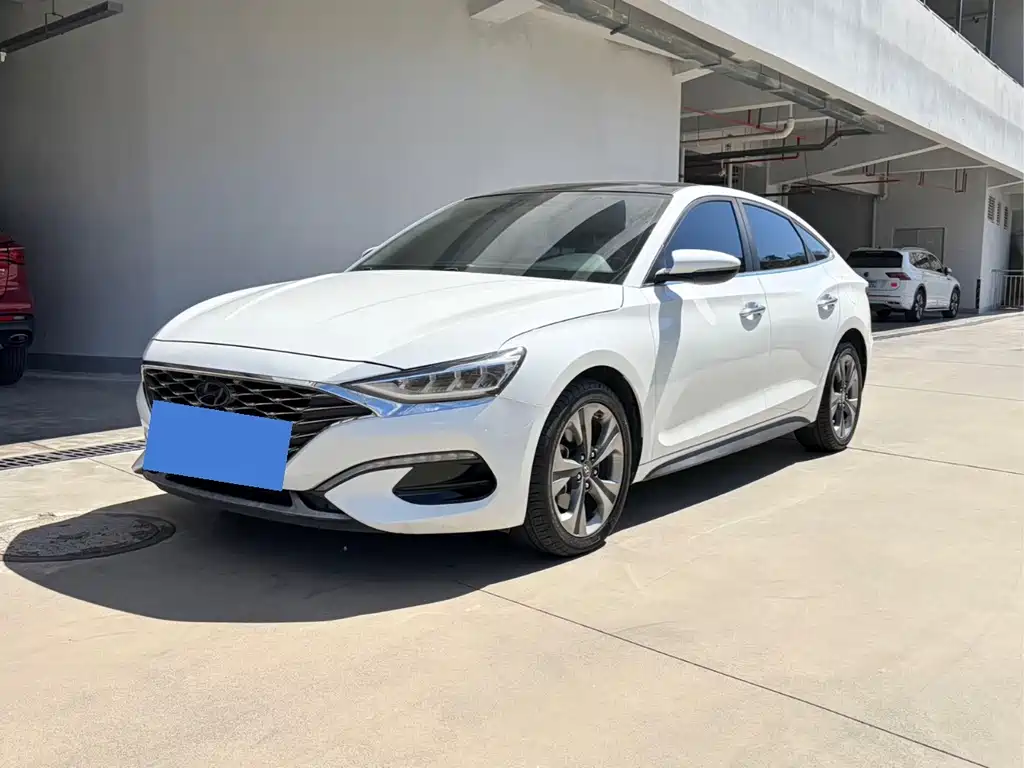 Hyundai Fista — миниатюра 2