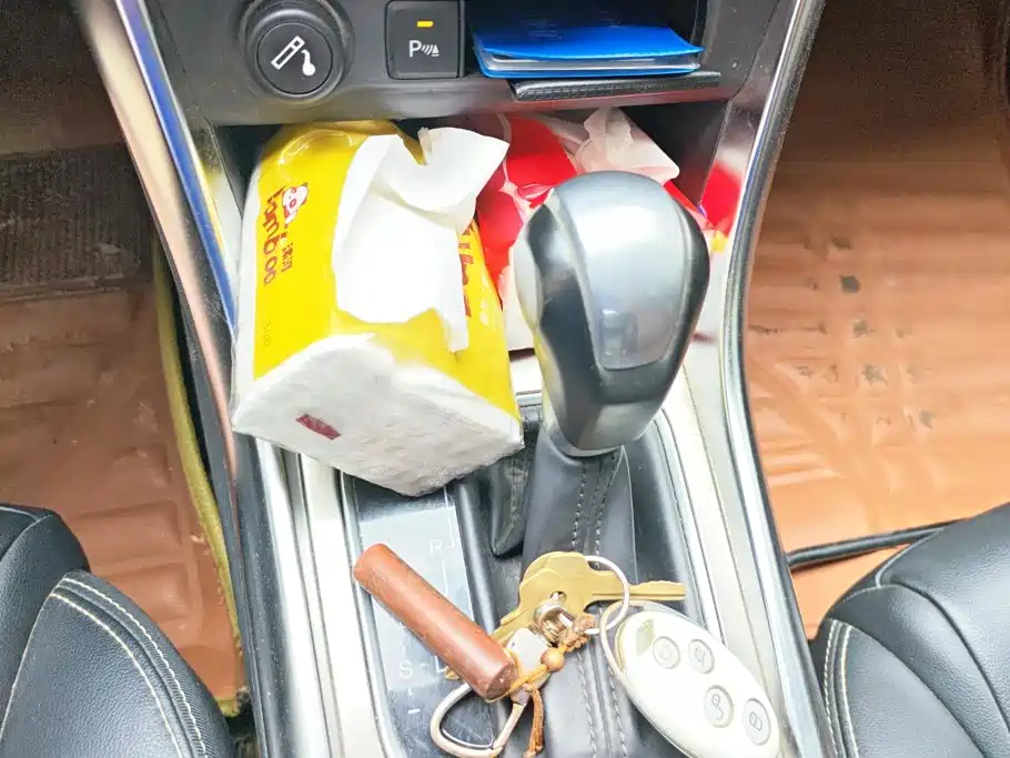 BYD Song — миниатюра 16