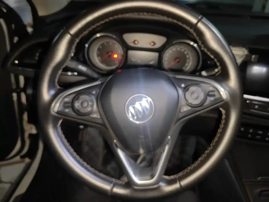 Buick Regal — миниатюра 15