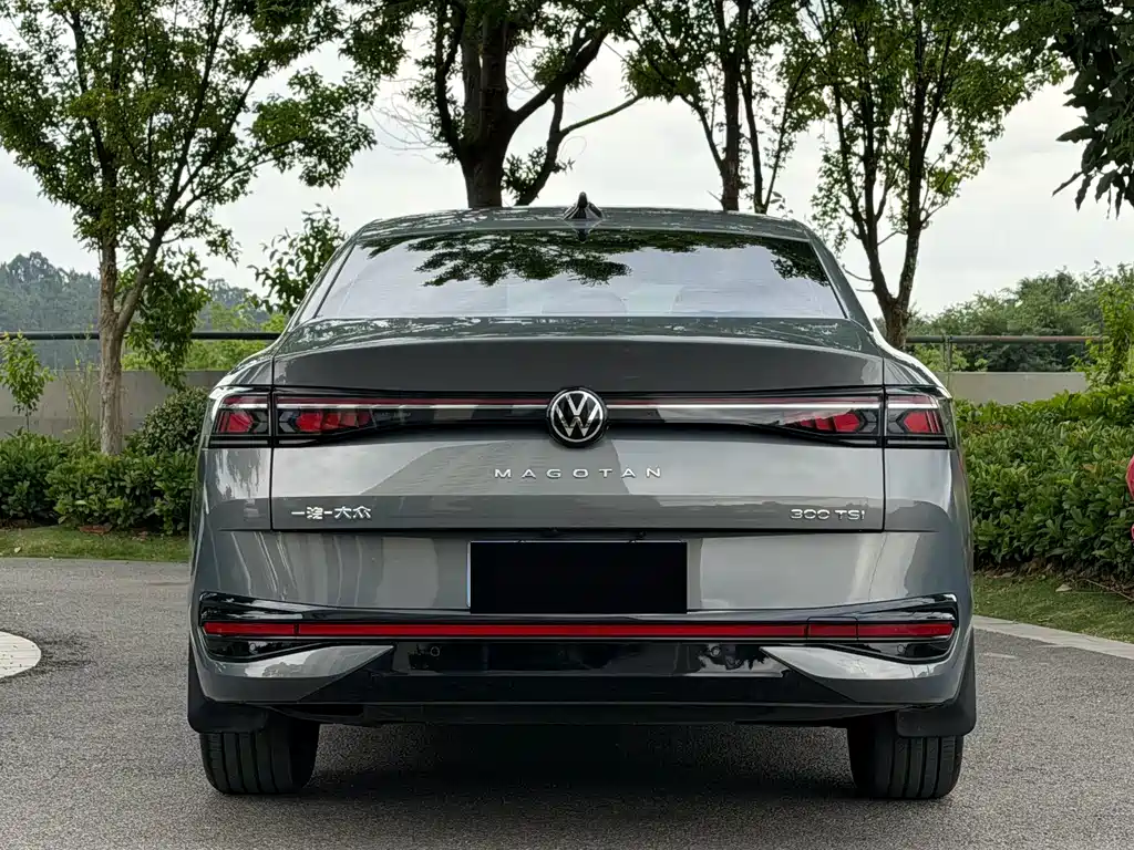 Volkswagen Magotan 2024 300TSI DSG Premium