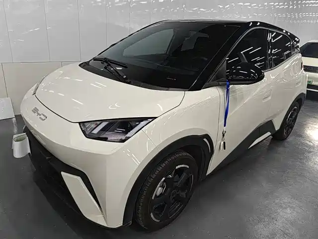 2024 BYD Seagull