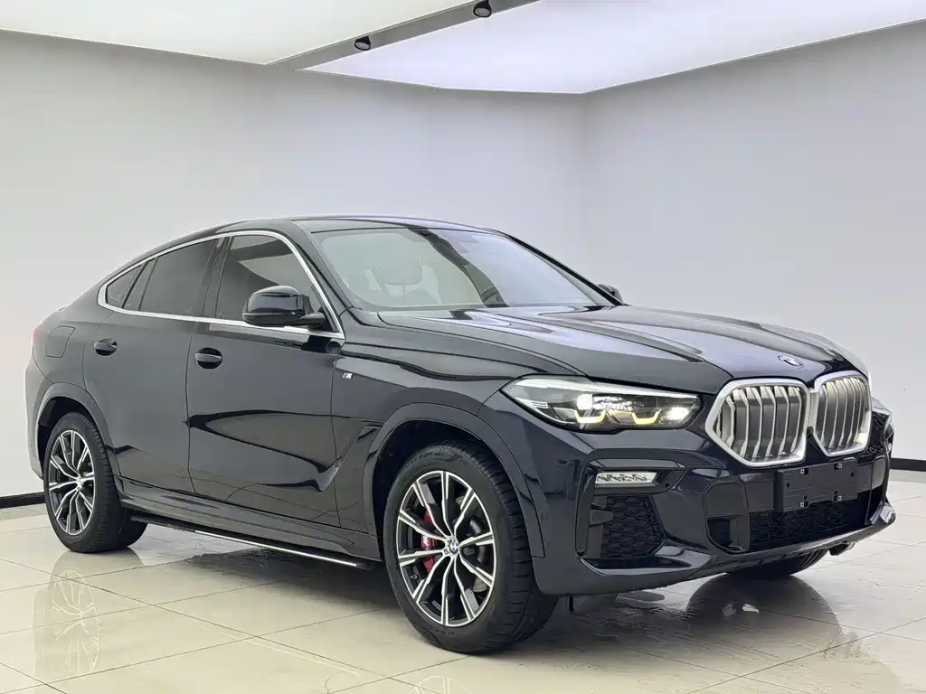 BMW X6 — миниатюра 2