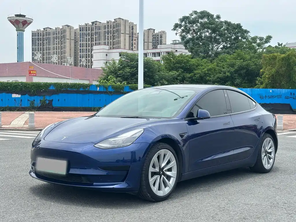 Tesla Model 3 2021 Standard Range RWD Upgrade Edition 3D6