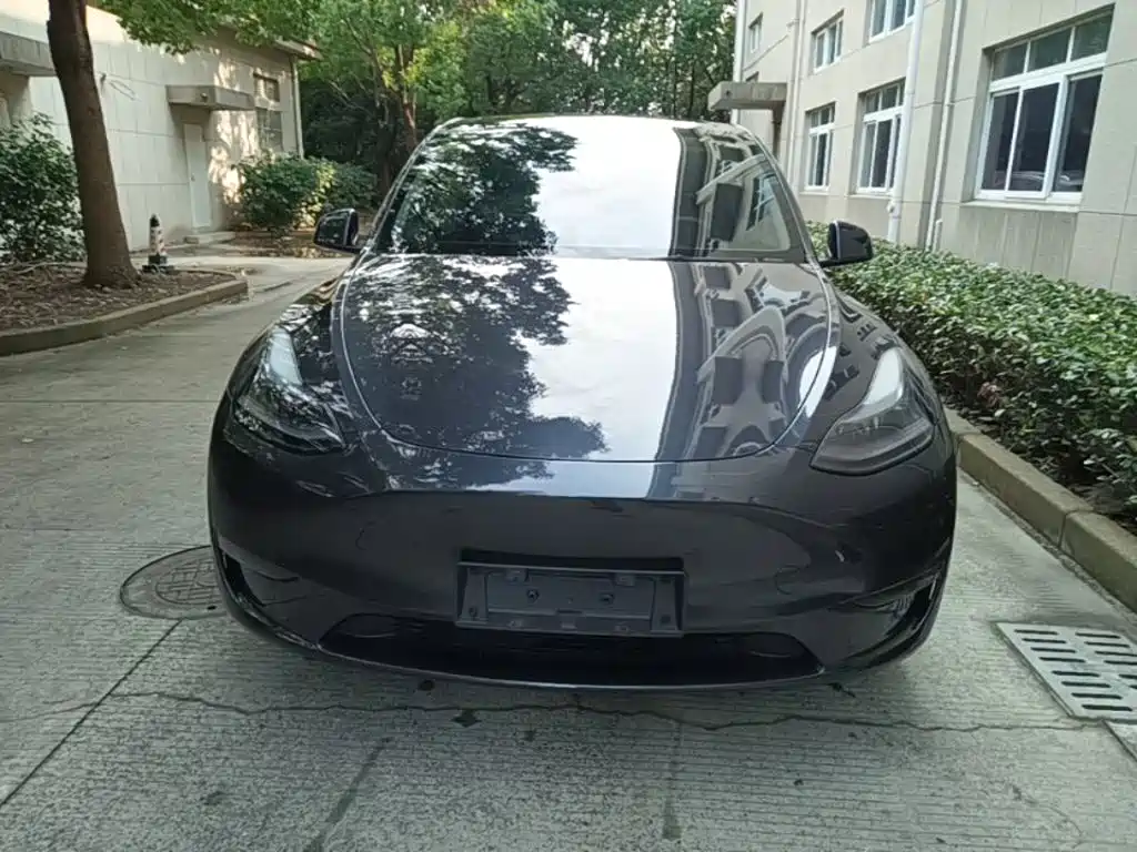 Tesla Model Y — миниатюра 3