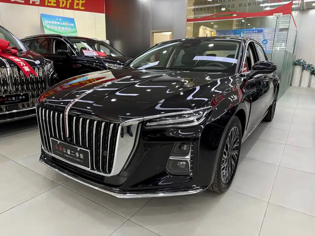 Hongqi Hongqi H5 2024
