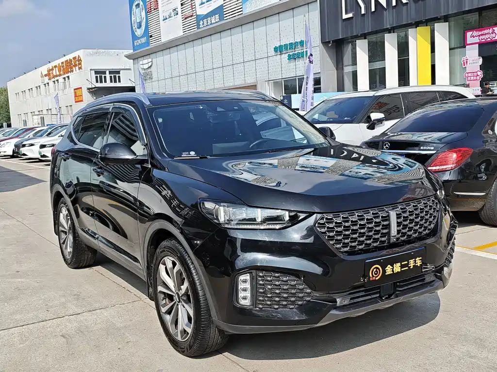 Wey Wey VV6 — миниатюра 4