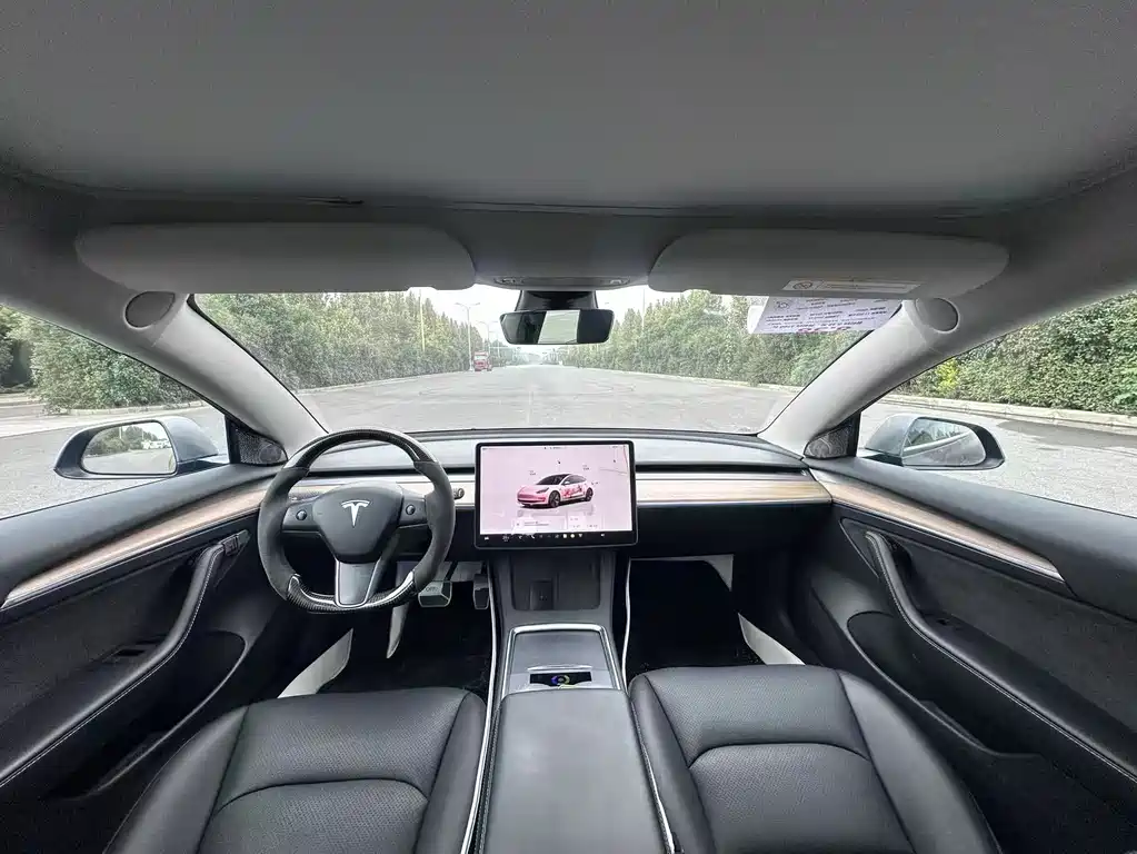 Tesla Model 3 — миниатюра 9