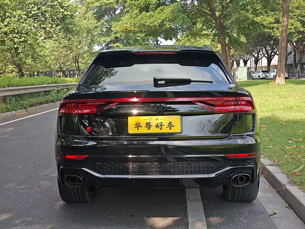 Audi RS Q8 — миниатюра 3