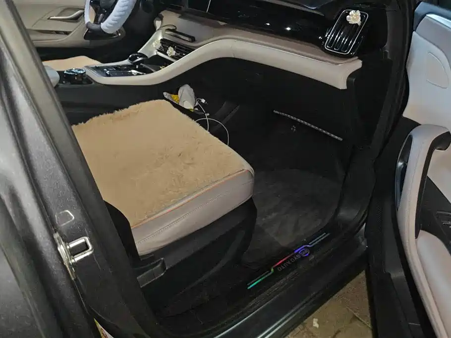 BYD SONGJIANG NEW ENERGY