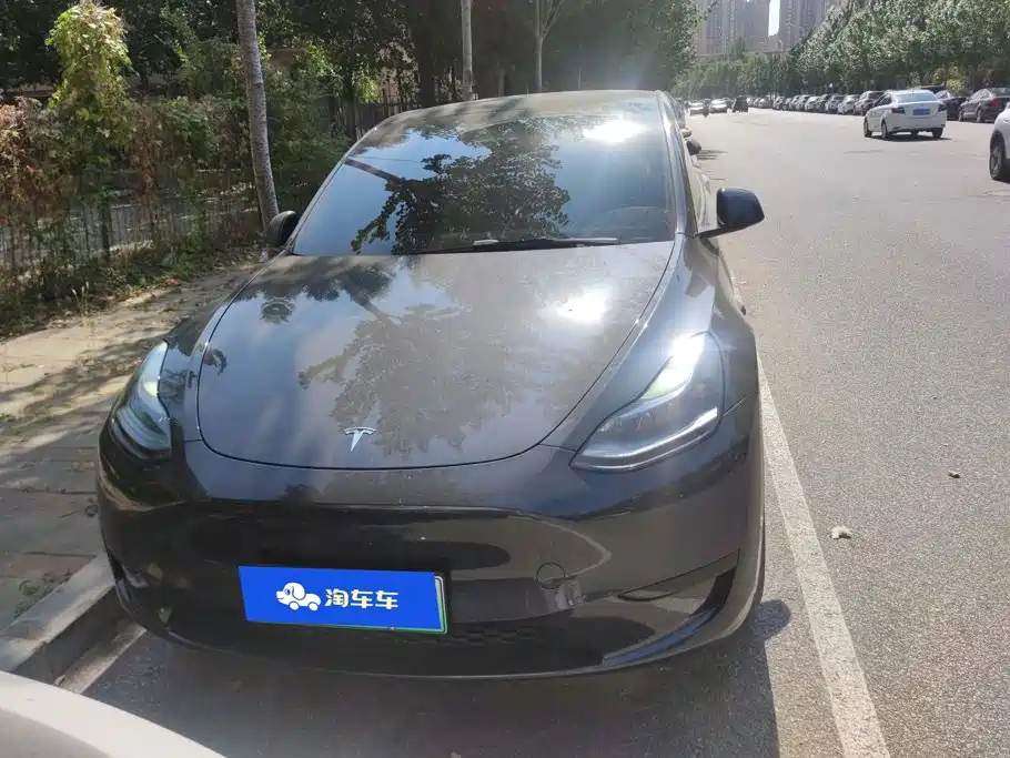 Tesla Model Y — миниатюра 2