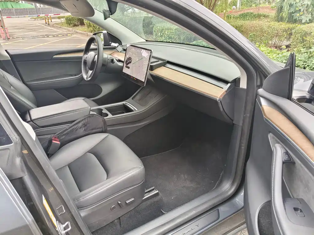 Tesla Model Y — миниатюра 7