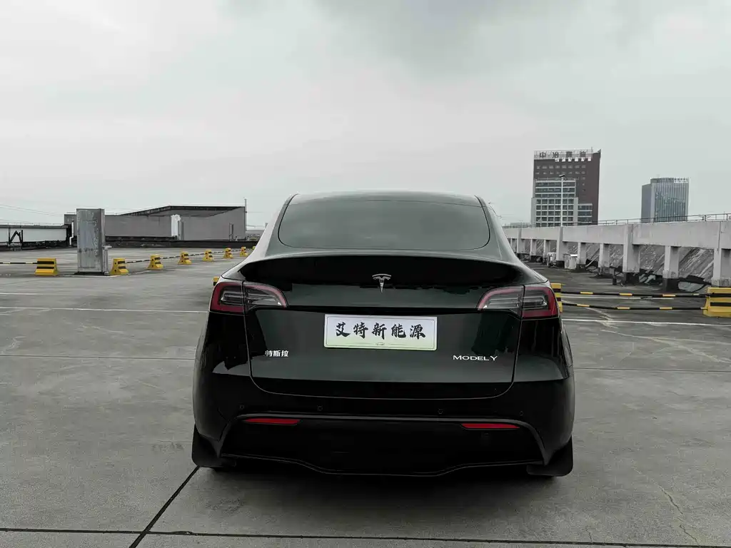 Tesla Model Y — миниатюра 5