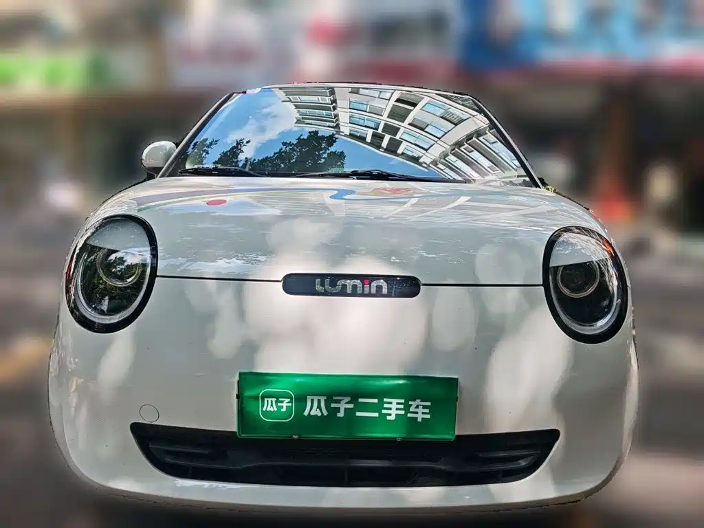 Qiyuan Lumin — миниатюра 2