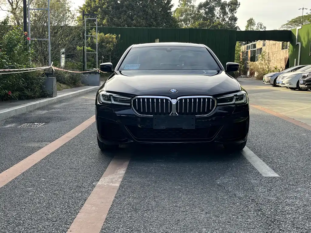 BMW 5 SERIES
