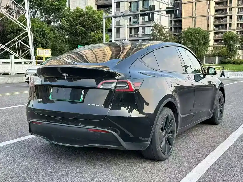 Tesla Model Y — миниатюра 9