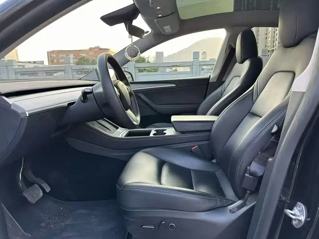 Tesla Model Y — миниатюра 5