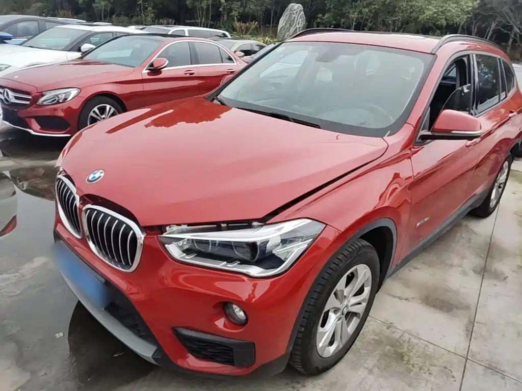 BMW X1 — миниатюра 2