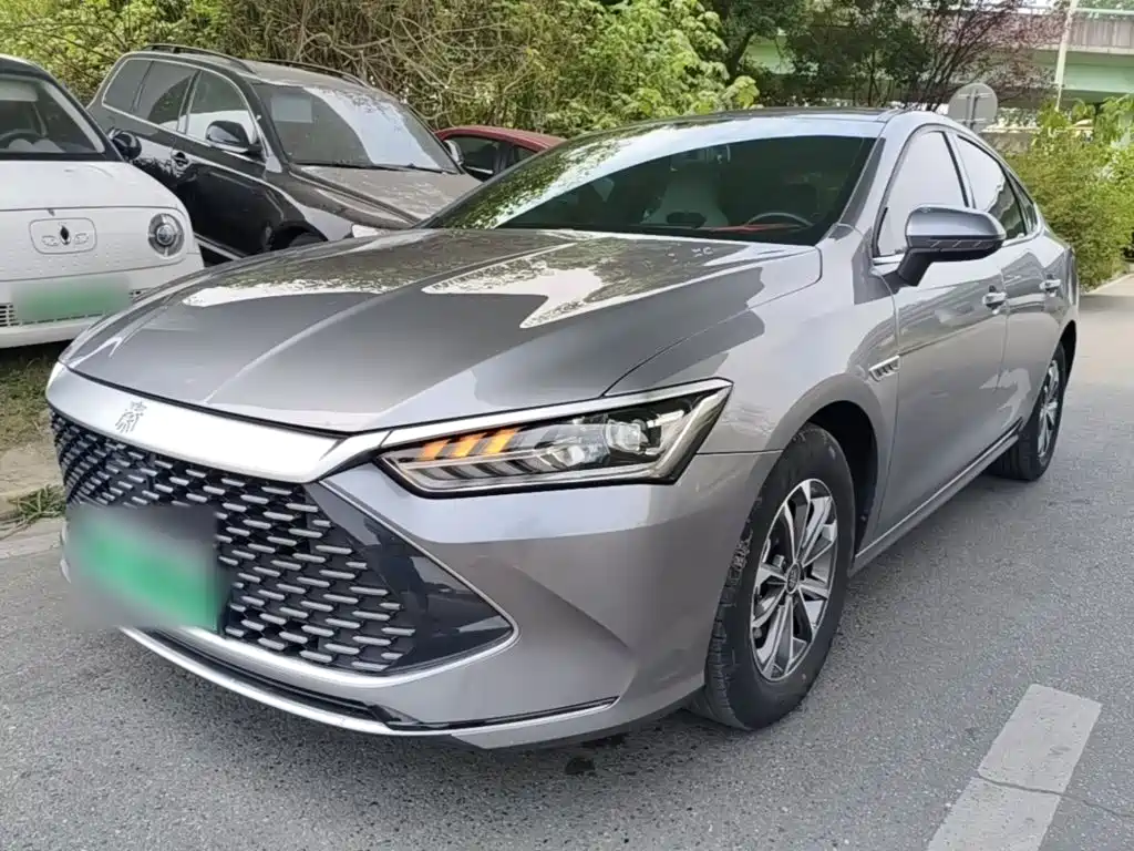 BYD Qin Plus PLUS 2024 DM-i 55KM Lead