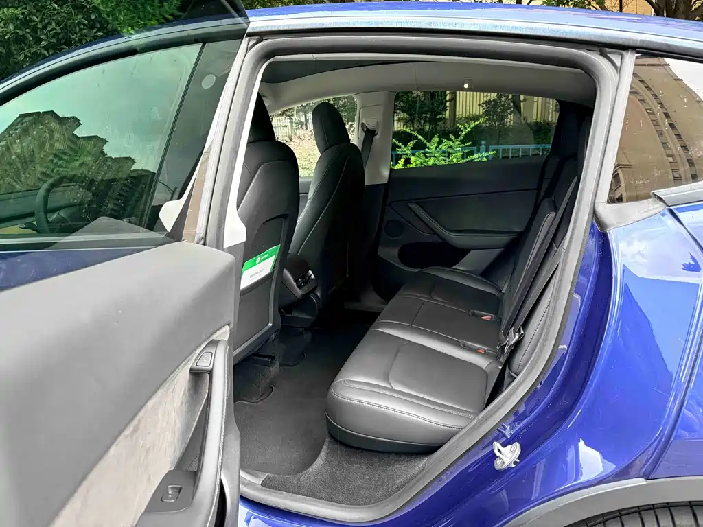 Tesla Model Y — миниатюра 8