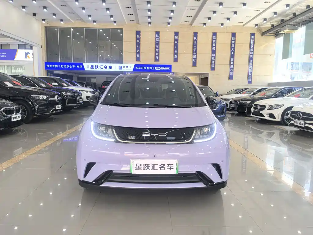 BYD Dolphin — миниатюра 2