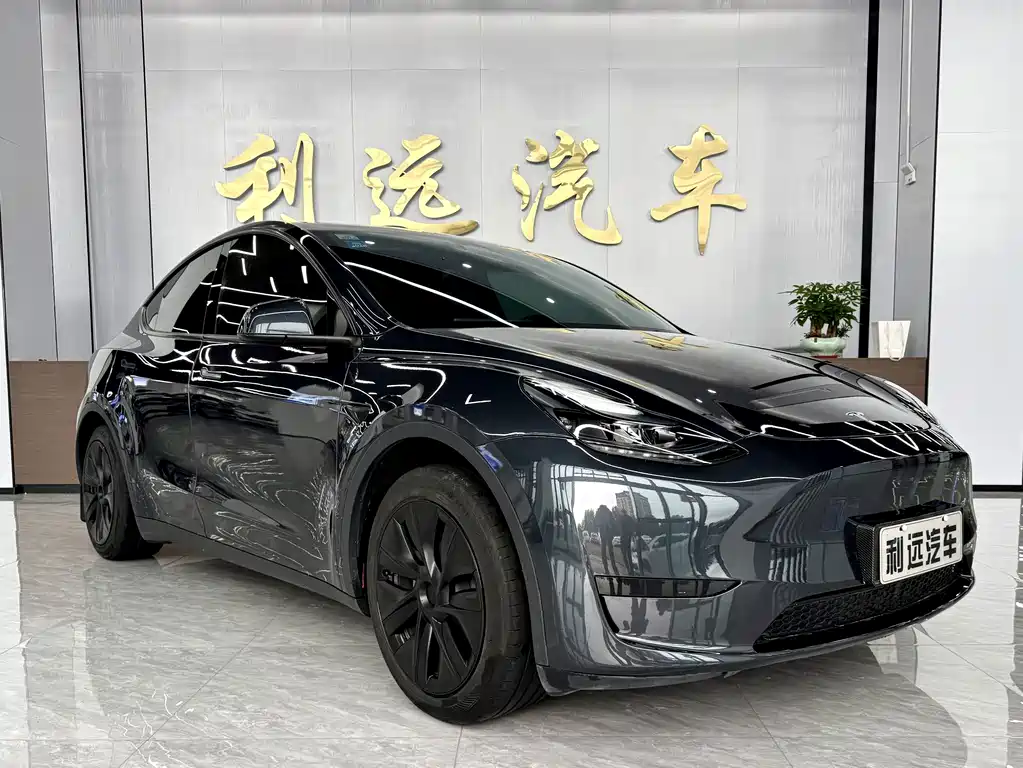 Tesla Model Y — миниатюра 3