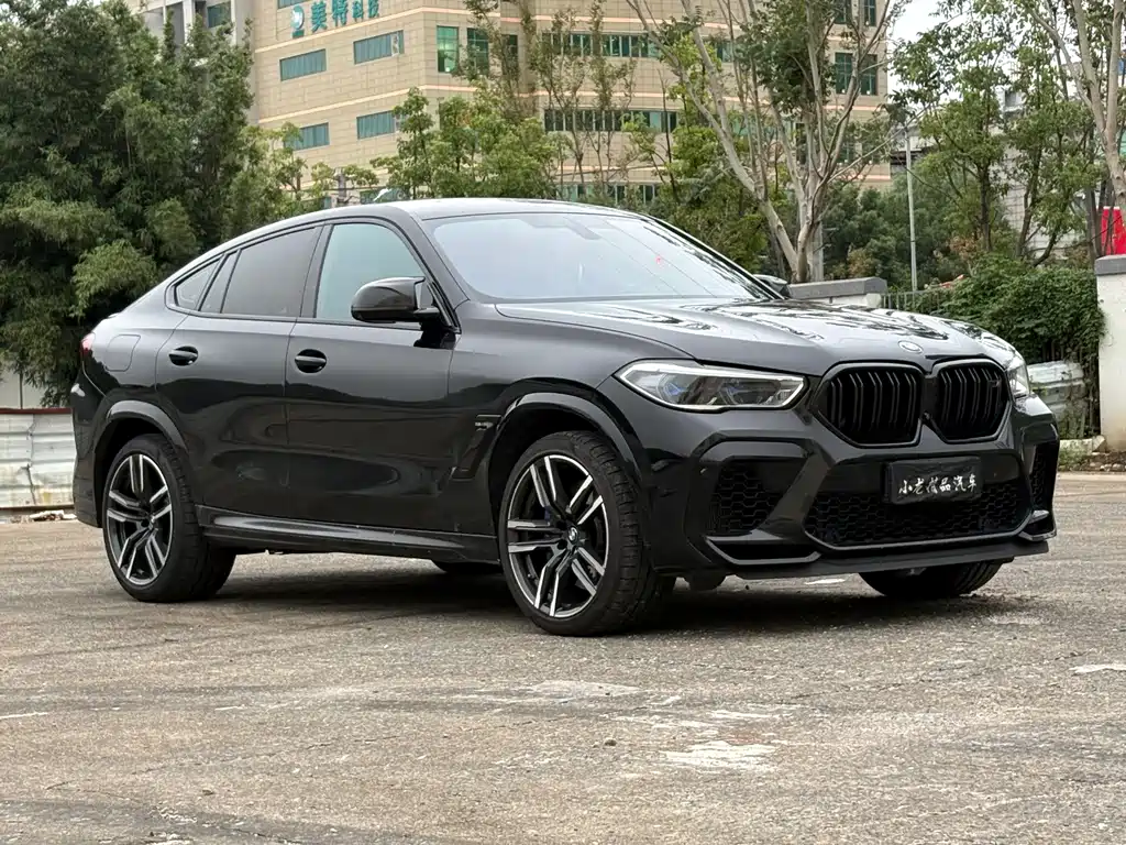 BMW X6 M — миниатюра 3