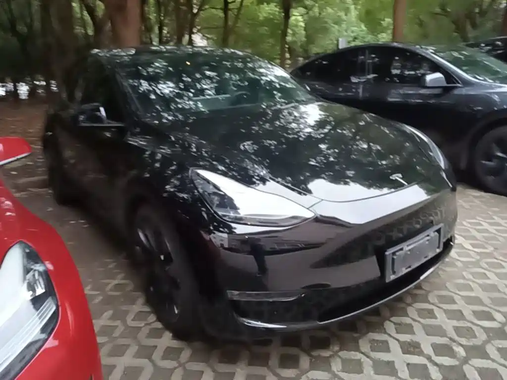 Tesla Model Y — миниатюра 4
