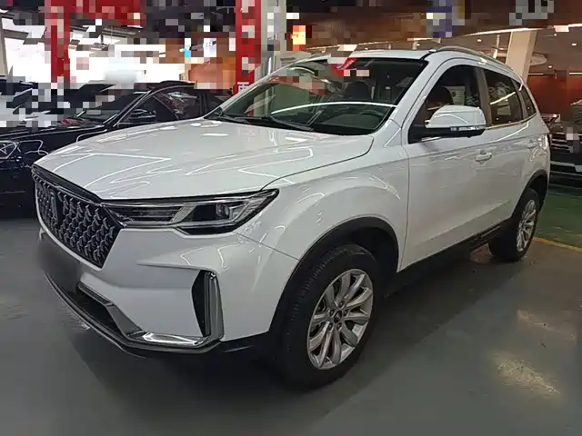 2020 Bestune T33