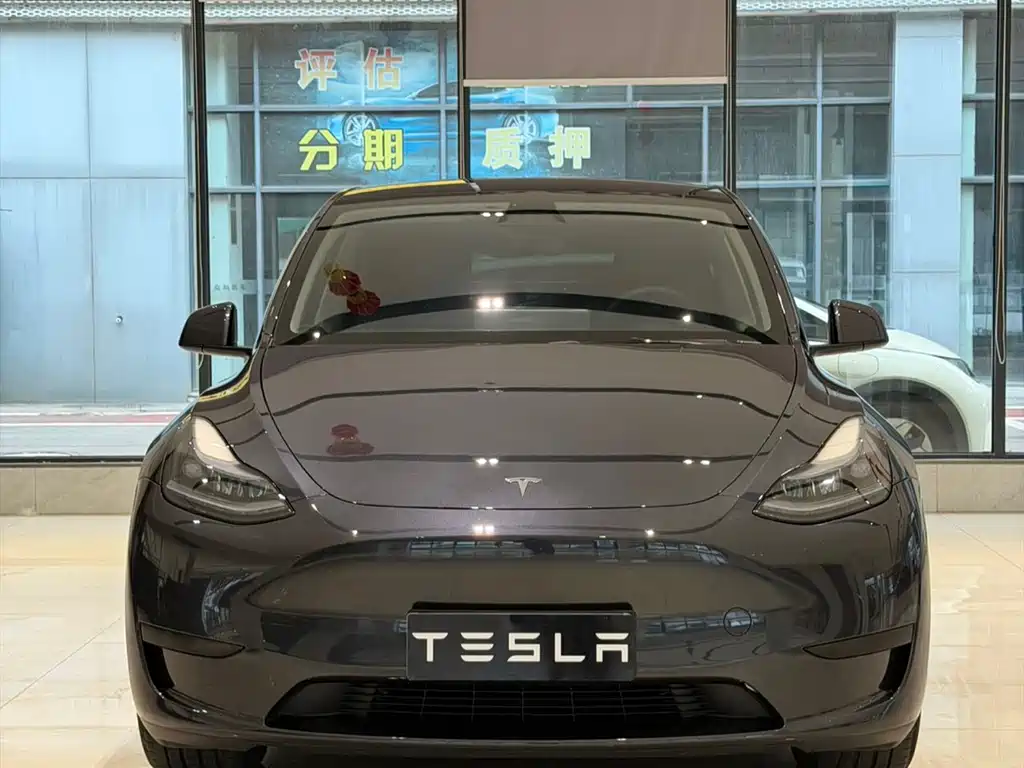 Tesla Model Y — миниатюра 2