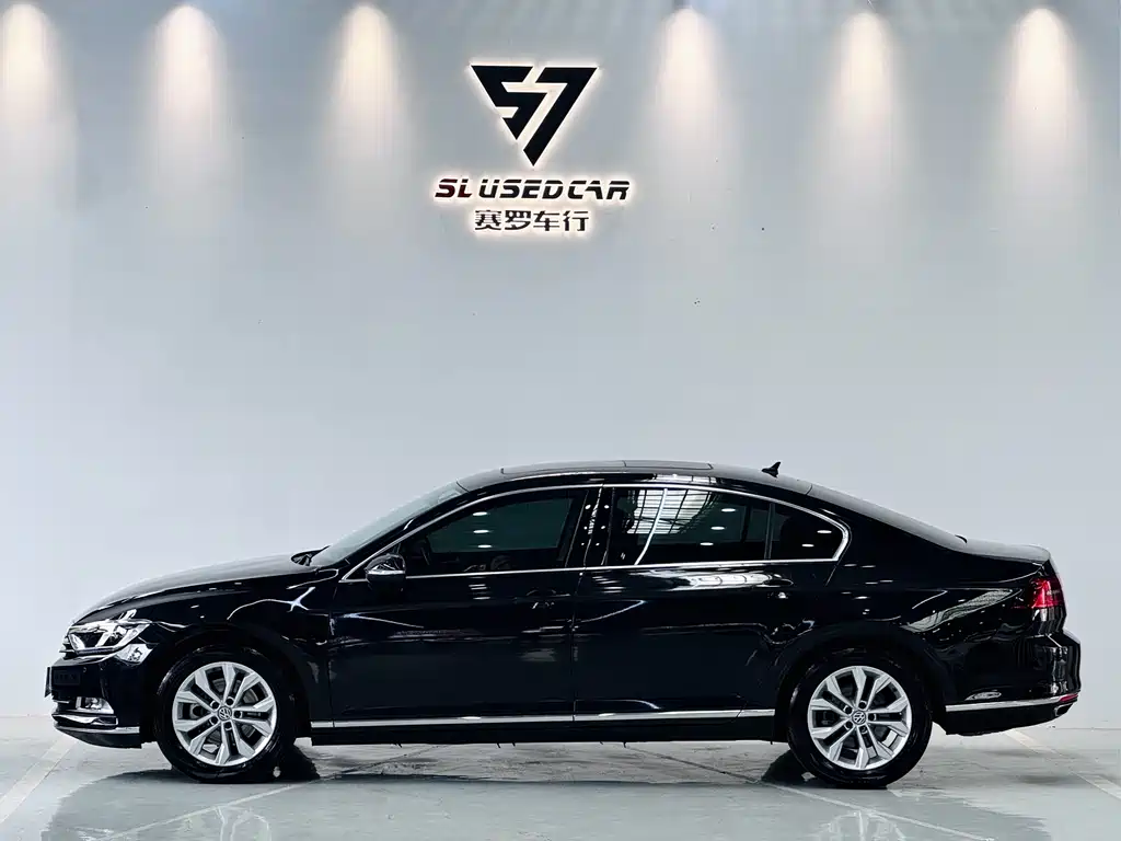 Volkswagen Magotan 2019 330TSI DSG Luxury VI