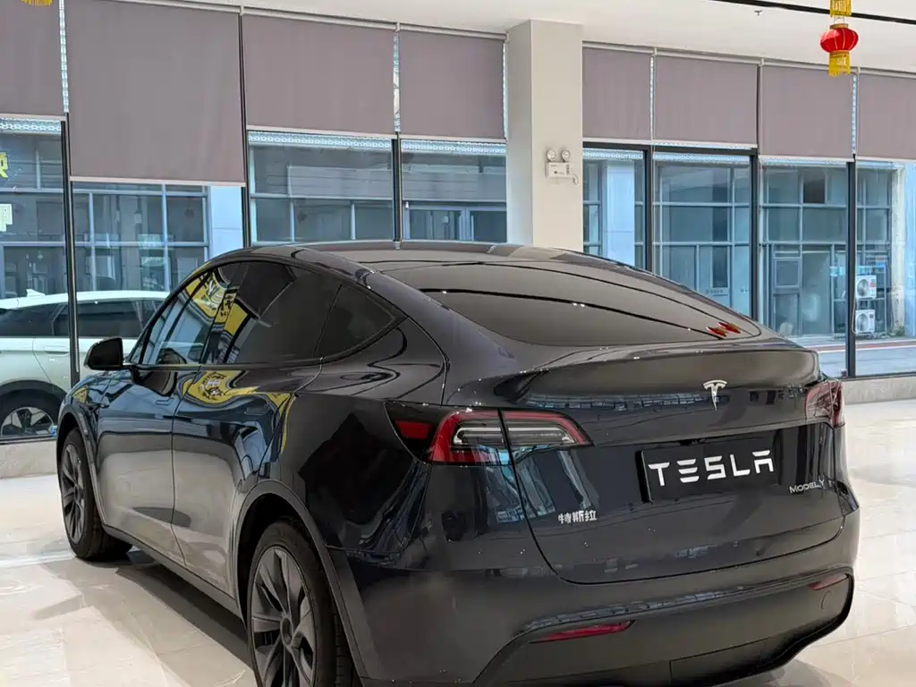 Tesla Model Y — миниатюра 8