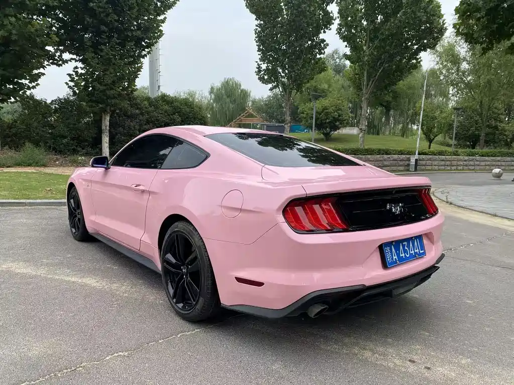 Ford Mustang — миниатюра 8
