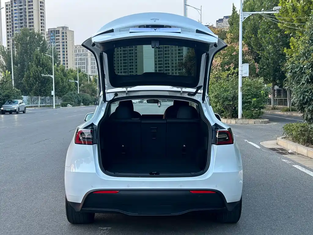 Tesla Model Y — миниатюра 11