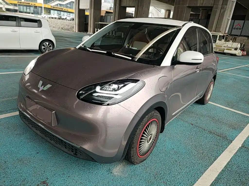 Wuling Binguo