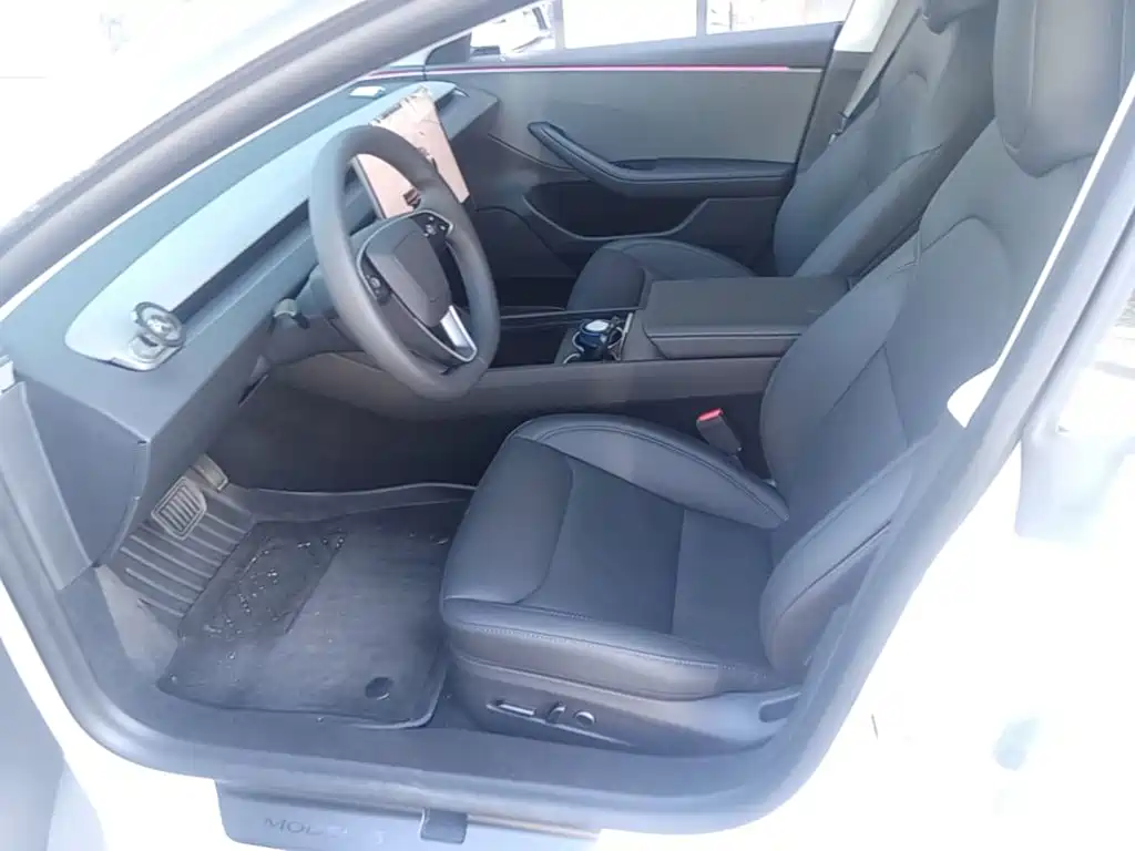Tesla Model 3 — миниатюра 15