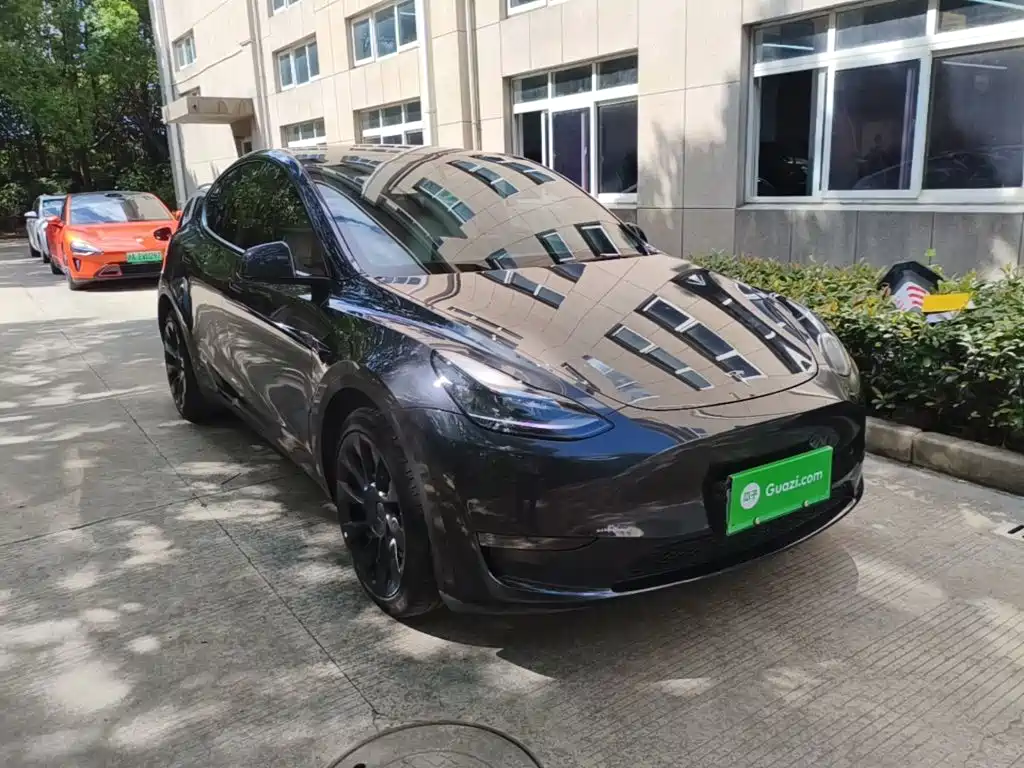 Tesla Model Y — миниатюра 4