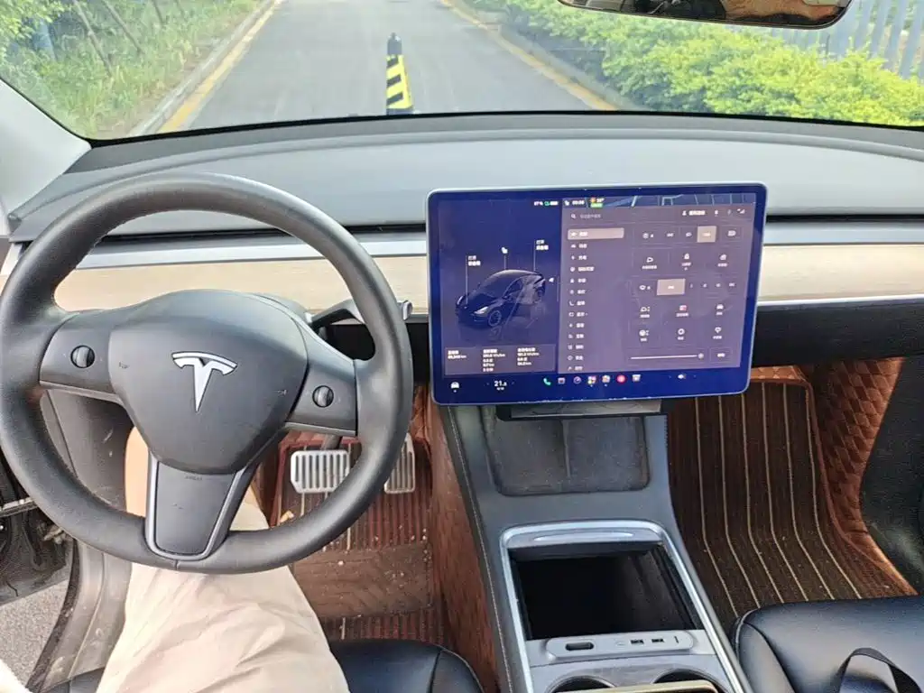 Tesla Model Y — миниатюра 10