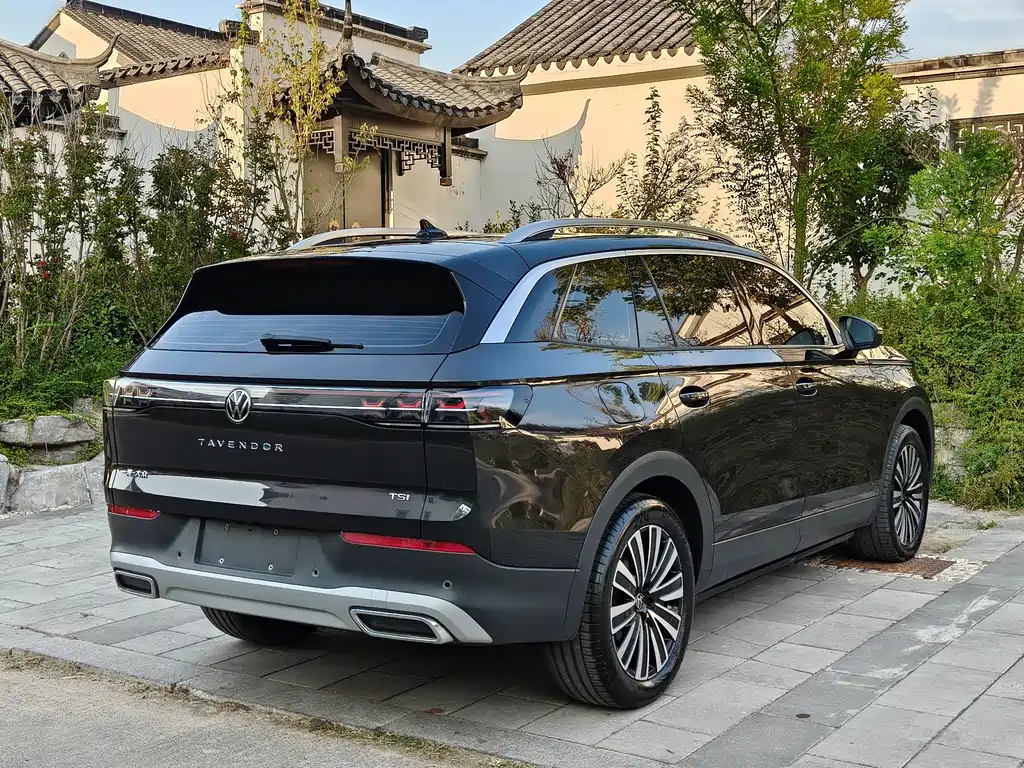 Volkswagen Tavendor — миниатюра 7