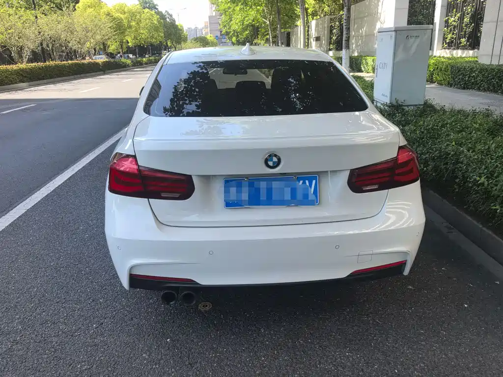 BMW 3 Series 3 2019 320Li M Sport