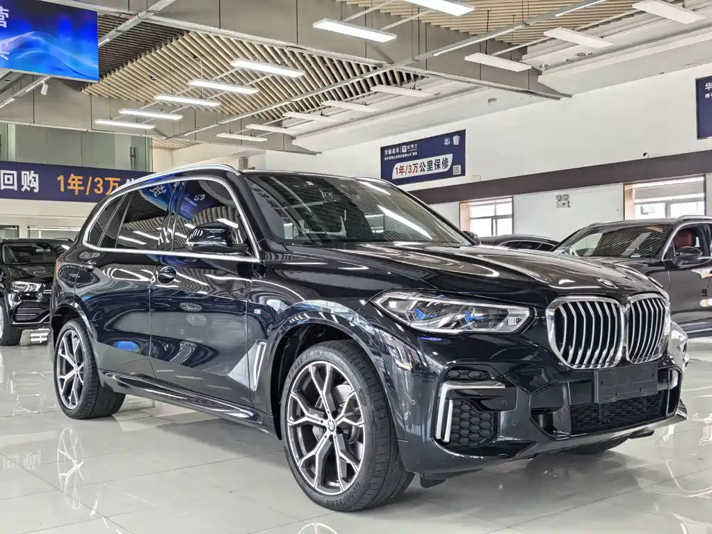 BMW X5 — миниатюра 3