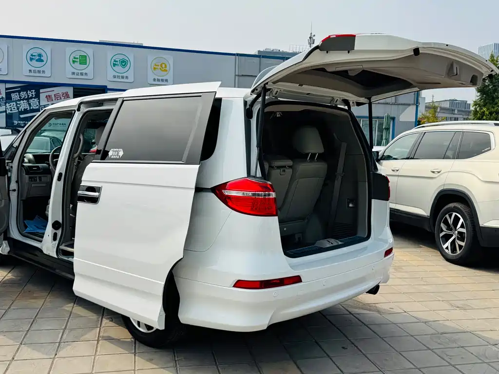Honda Elysion — миниатюра 11